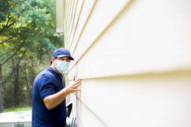 Best Custom Siding Design  in Ridge Wood Heights, FL