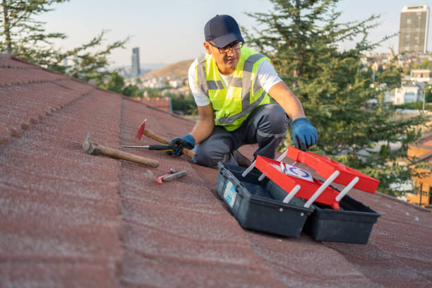 Best Fascia and Soffit Installation  in Ridge Wood Heights, FL